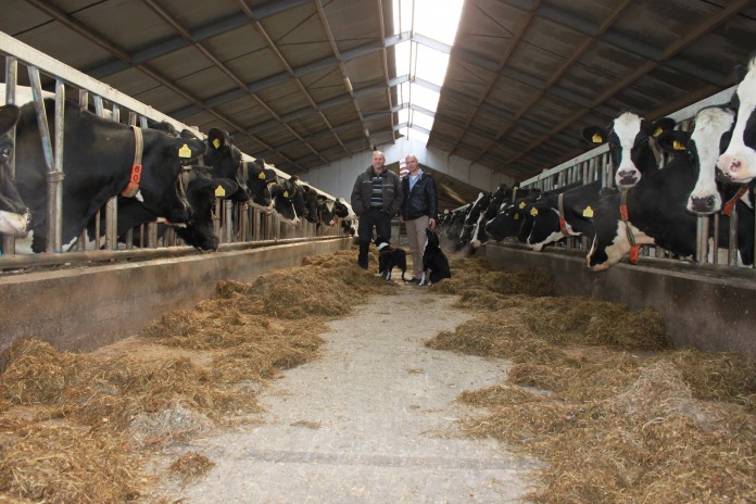 Lekkerkerker en Keijzer administratie financieel advies